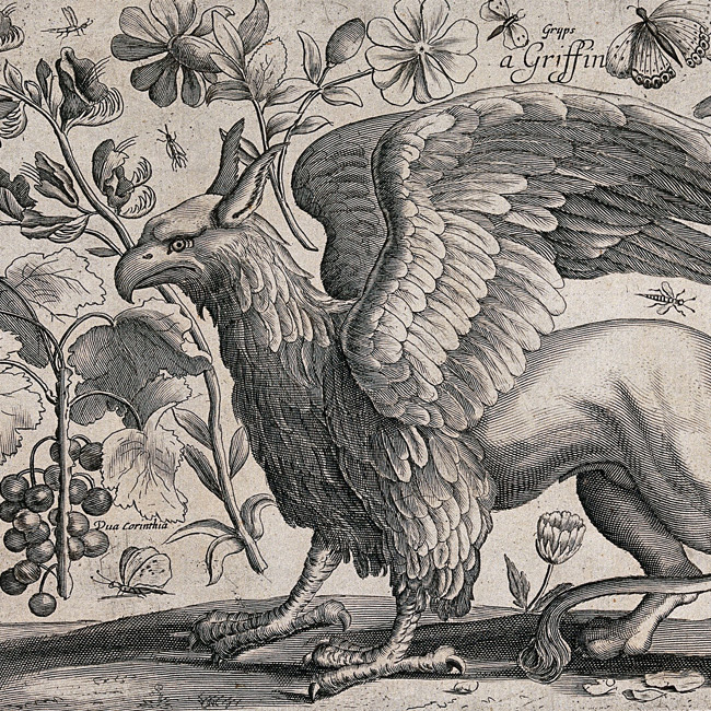 Griffin Engraving by D. Loggan (1663)